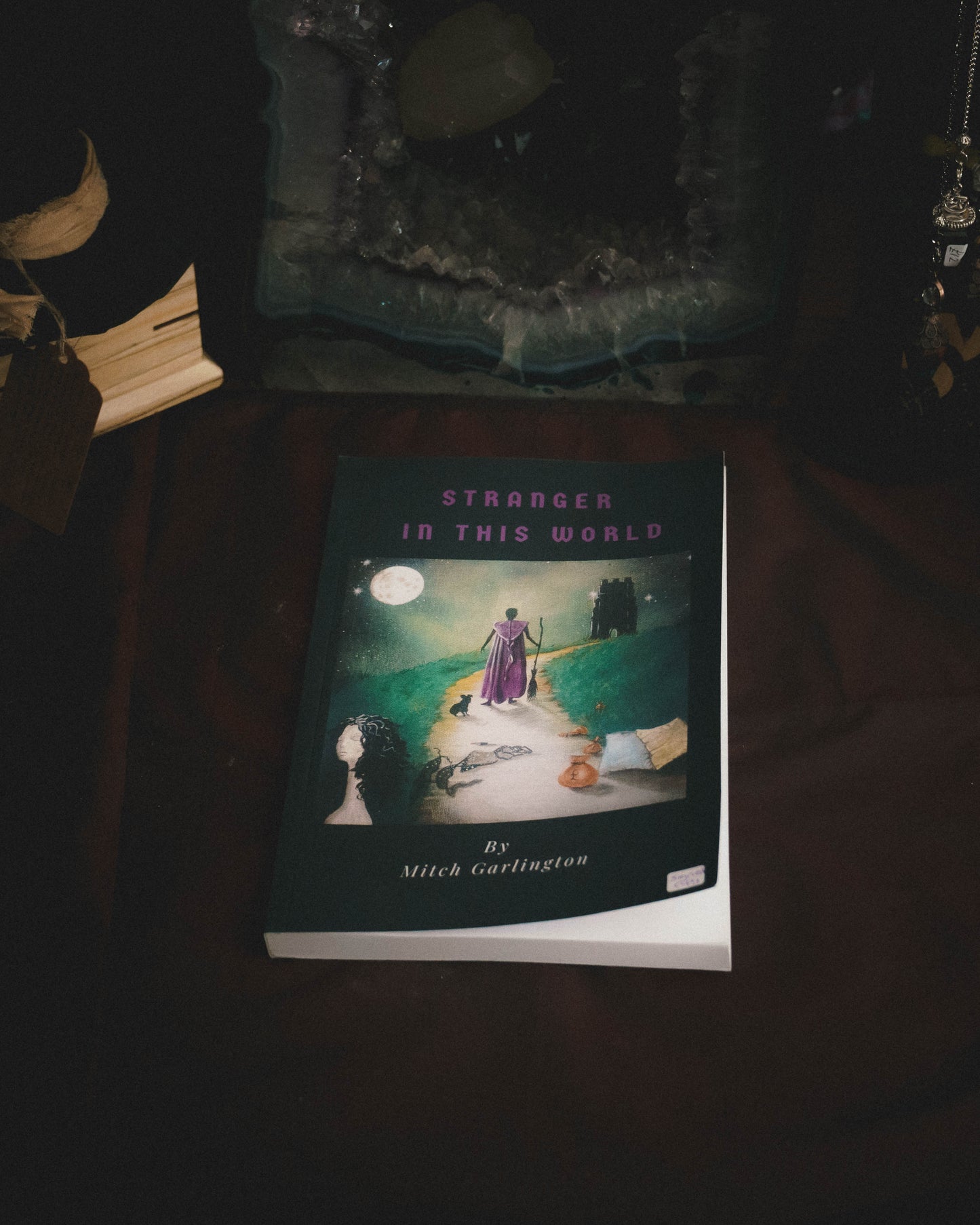 Stranger in This World - Mitch Garlington