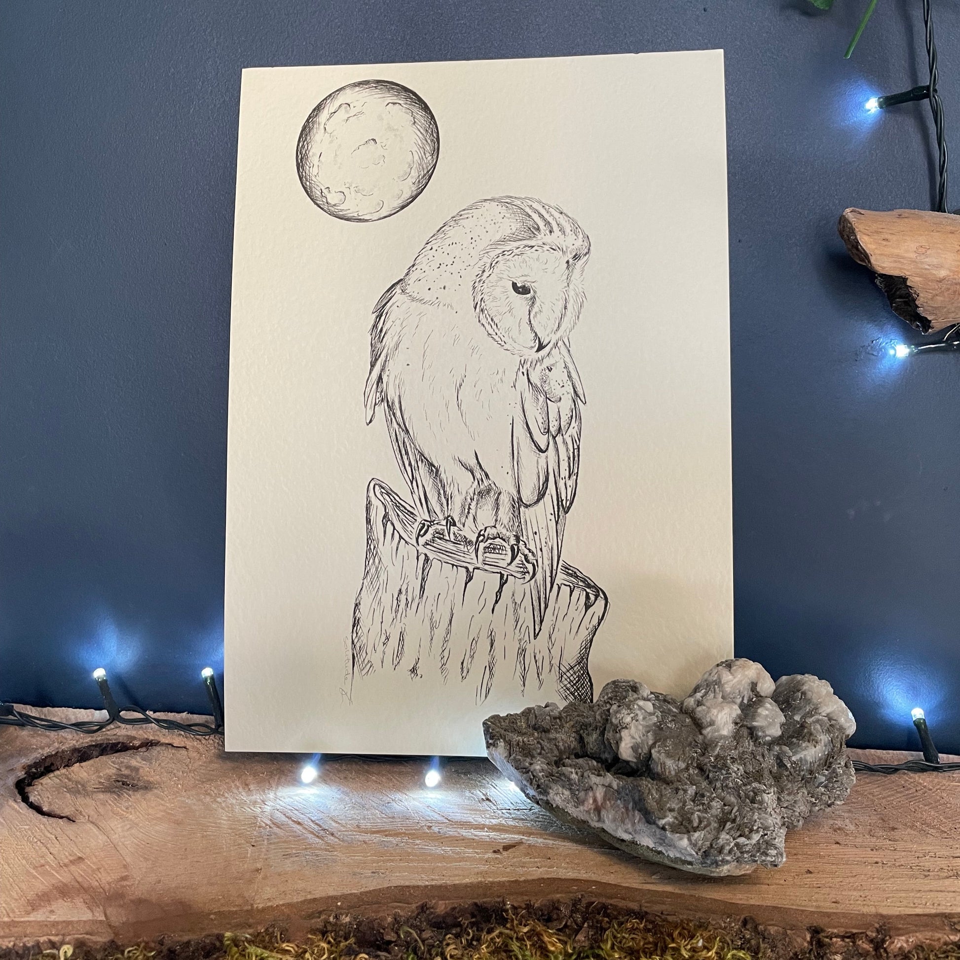 Black and white drawing of a bird on a piece of paper, surrounded by decorative elements like rocks and plants.